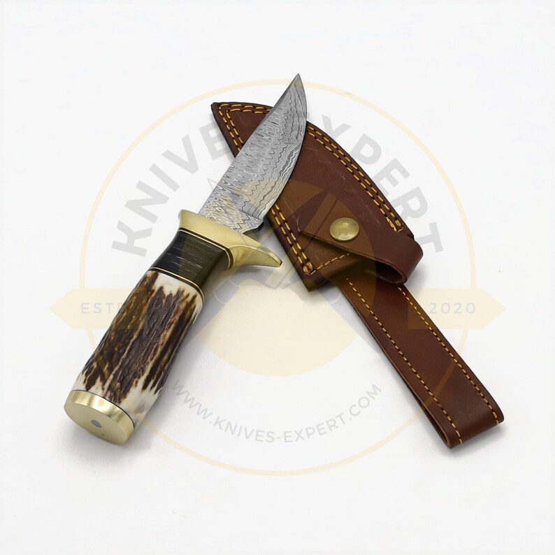 Wilderness Guardian: Premium Damascus Steel Bowie Knife main image 1