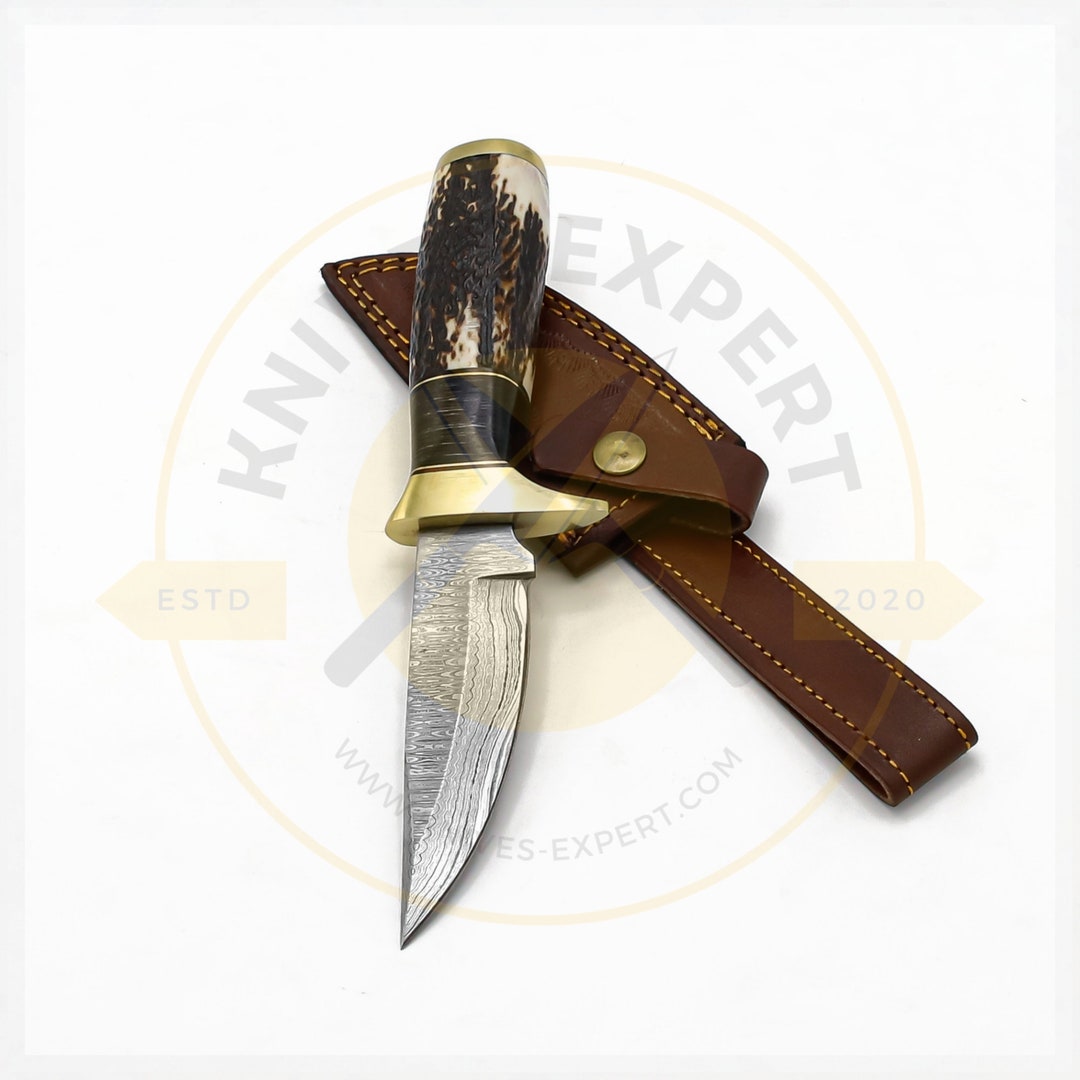 Wilderness Guardian: Premium Damascus Steel Bowie Knife main image 0