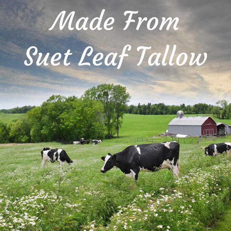 May include: A field with cows grazing in a green pasture with a red barn in the background. The sky is cloudy and the text "Made From Suet Leaf Tallow" is written across the top of the image.