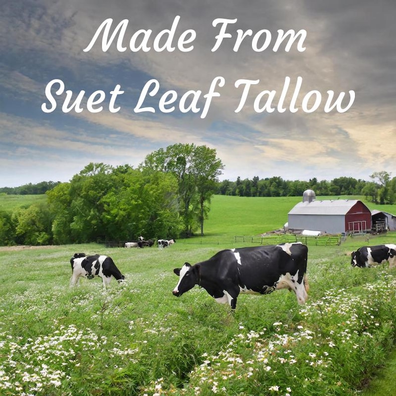 Pode incluir: Um campo com vacas pastando em um pasto verde com um celeiro vermelho ao fundo. O c&eacute;u est&aacute; nublado e o texto "Made From Suet Leaf Tallow" est&aacute; escrito no topo da imagem.