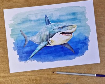 SD KUNSTDRUCK: Weißer Hai 21 x 30 cm