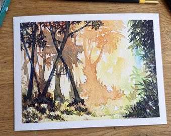 DRUK ARTYSTYCZNY HD: Pomarańczowy zachód słońca w dżungli