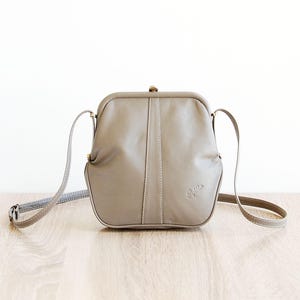 Metal Frame Retro Purse Vintage Papillon Paris Bag Small Women Bag Gray Shoulder Purse Grey Leather Purse Crossbody Metal Frame Purse