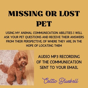 May include: An advertisement with text reading "MISSING OR LOST PET". It includes a photo of a brown dog and text describing animal communication services to locate lost pets. An audio MP3 recording is sent to the email.