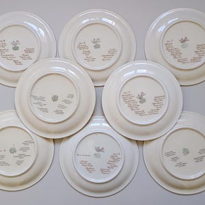 May include: Seven white ceramic plates with a floral design and text. The plates are arranged in a circular pattern, showcasing the underside with the text and design. The text appears to be a list of names and dates.