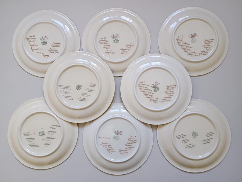 May include: Seven white ceramic plates with a floral design and text. The plates are arranged in a circular pattern, showcasing the underside with the text and design. The text appears to be a list of names and dates.