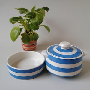 Puede incluir: Un cuenco de cerámica y un recipiente de cerámica con tapa, ambos con rayas horizontales azules y blancas. El recipiente tiene dos asas laterales y un pomo redondo en la tapa. Una pequeña planta verde se encuentra en una maceta a rayas.