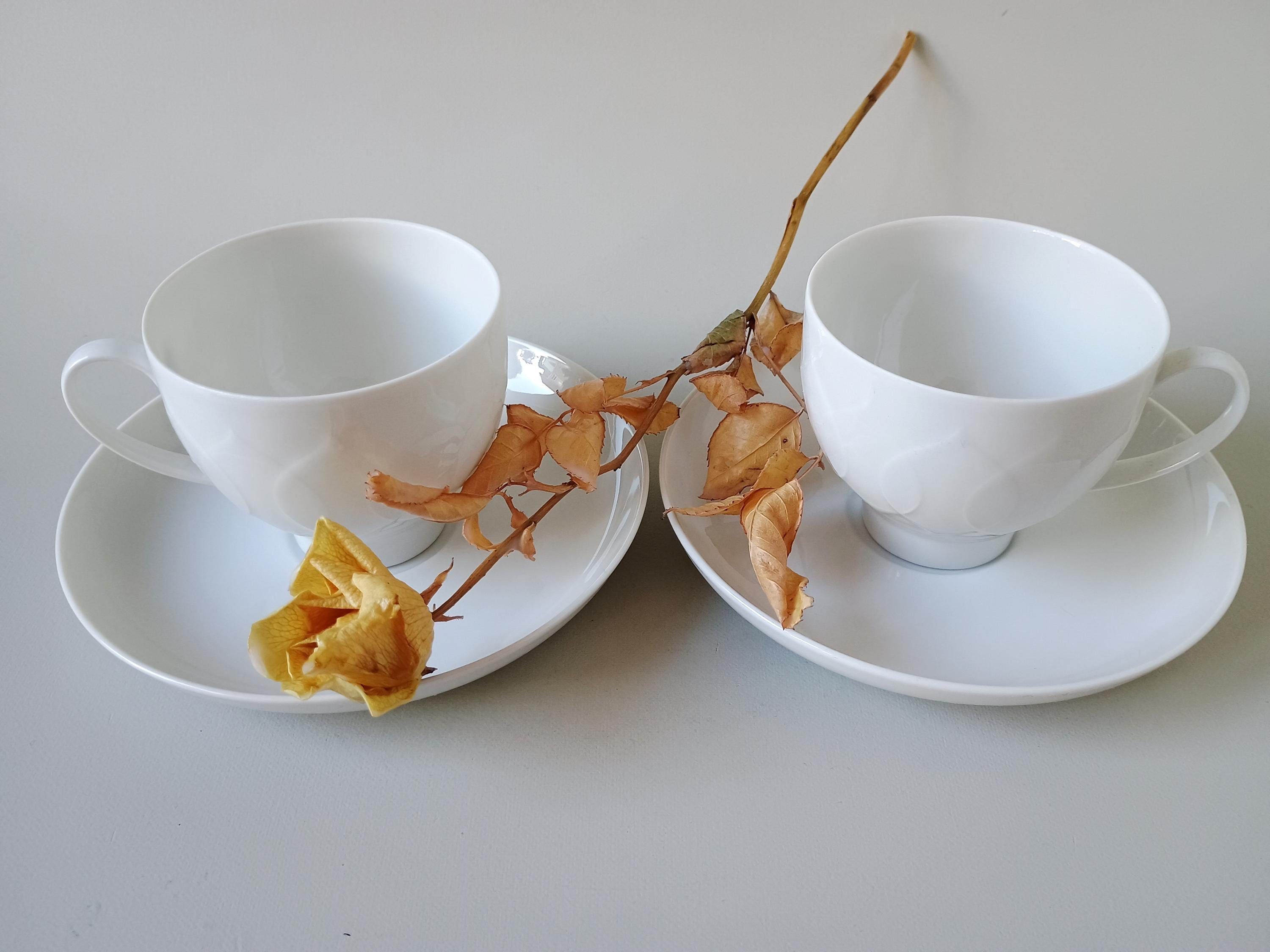 Rosenthal city cup - Etsy 日本