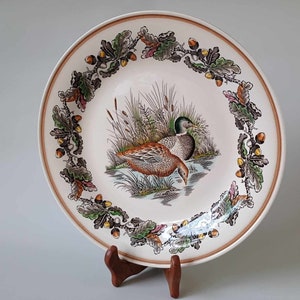 Vintage Barbeque by Myott - Serving Plate / Large Dinner Plate - Hand Painted - Staffordshire Pottery England 1950s