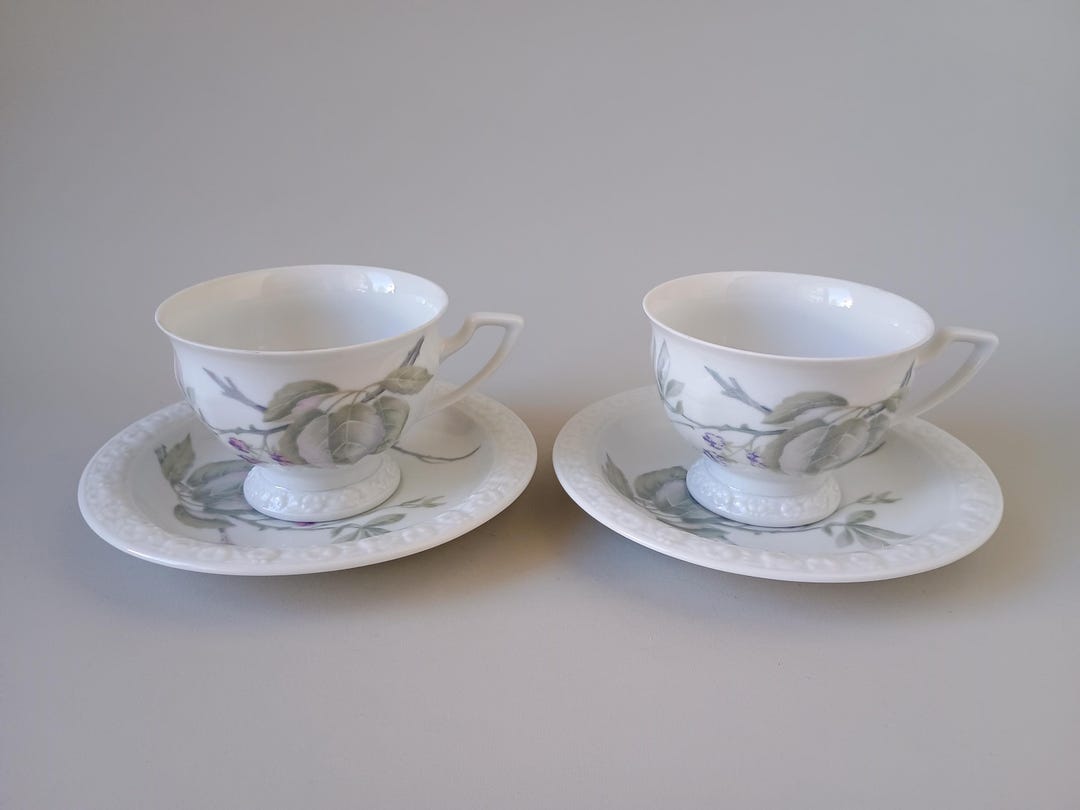 Rosenthal Classic Rose Maria Blackberry Coffee Cup and Saucer Set