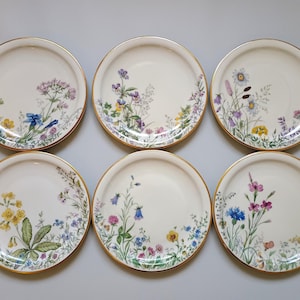 Op de afbeelding: Een set van zes ronde keramische borden met een crèmekleurige basis en een goudkleurige rand. Elk bord is voorzien van een unieke, gedetailleerde botanische illustratie van diverse wilde bloemen in blauw, geel, roze, paars en groen.