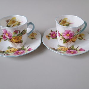 Shelley begonia - Etsy 日本