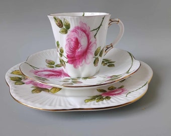 ZELDZAAM! Shelley Rambler Rose met goud #367 - SET Trio van koffiekop en schotel en taartbord - Fine Bone China Engeland - jaren 50