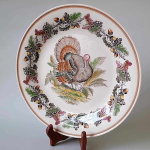Vintage Barbeque by Myott - Serving Plate / Large Dinner Plate - Hand Painted - Staffordshire Pottery England 1950s