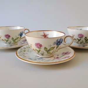 Vintage Krautheim Selb Bavaria Cup and Saucer: Wildflower Decor, Gold Trim