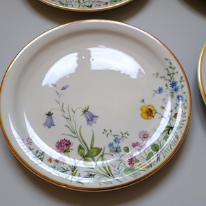 May include: A set of white ceramic plates with a gold rim and a floral design. The plates feature a variety of colorful flowers, including bluebells, yellow buttercups, and pink clover. The plates are likely for serving food.