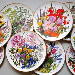 Complete Plate Collection January - December - Franklin Porcelain