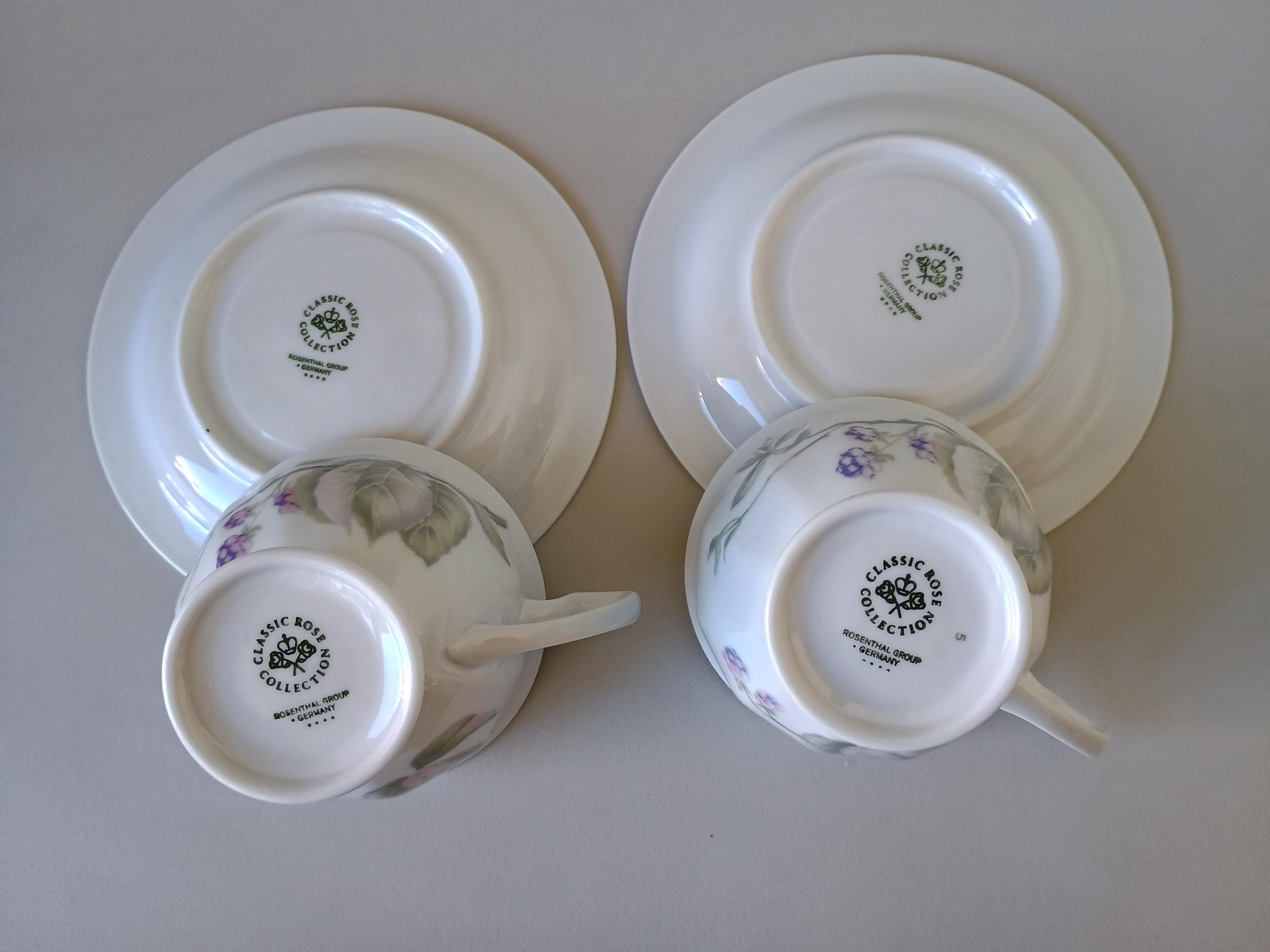 Rosenthal Classic Rose Maria Blackberry Coffee Cup and Saucer Set