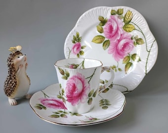 ZELDZAAM! Shelley Rambler Rose met goud #367 - SET Trio van koffiekop en schotel en taartbord - Fine Bone China Engeland - jaren 50