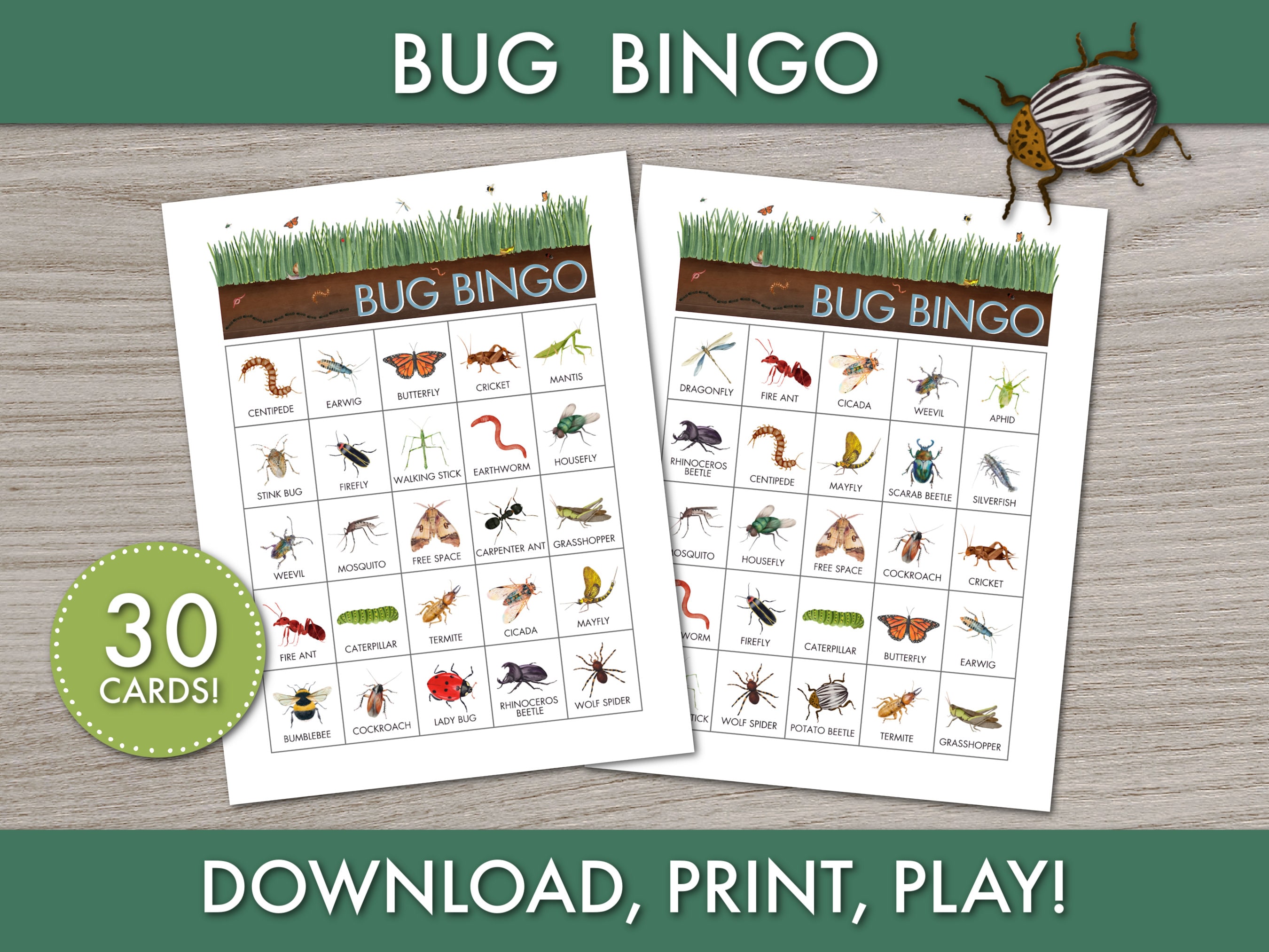 Printable Bug Bingo | Kids Insect-themed Party Game, Instant Download ...