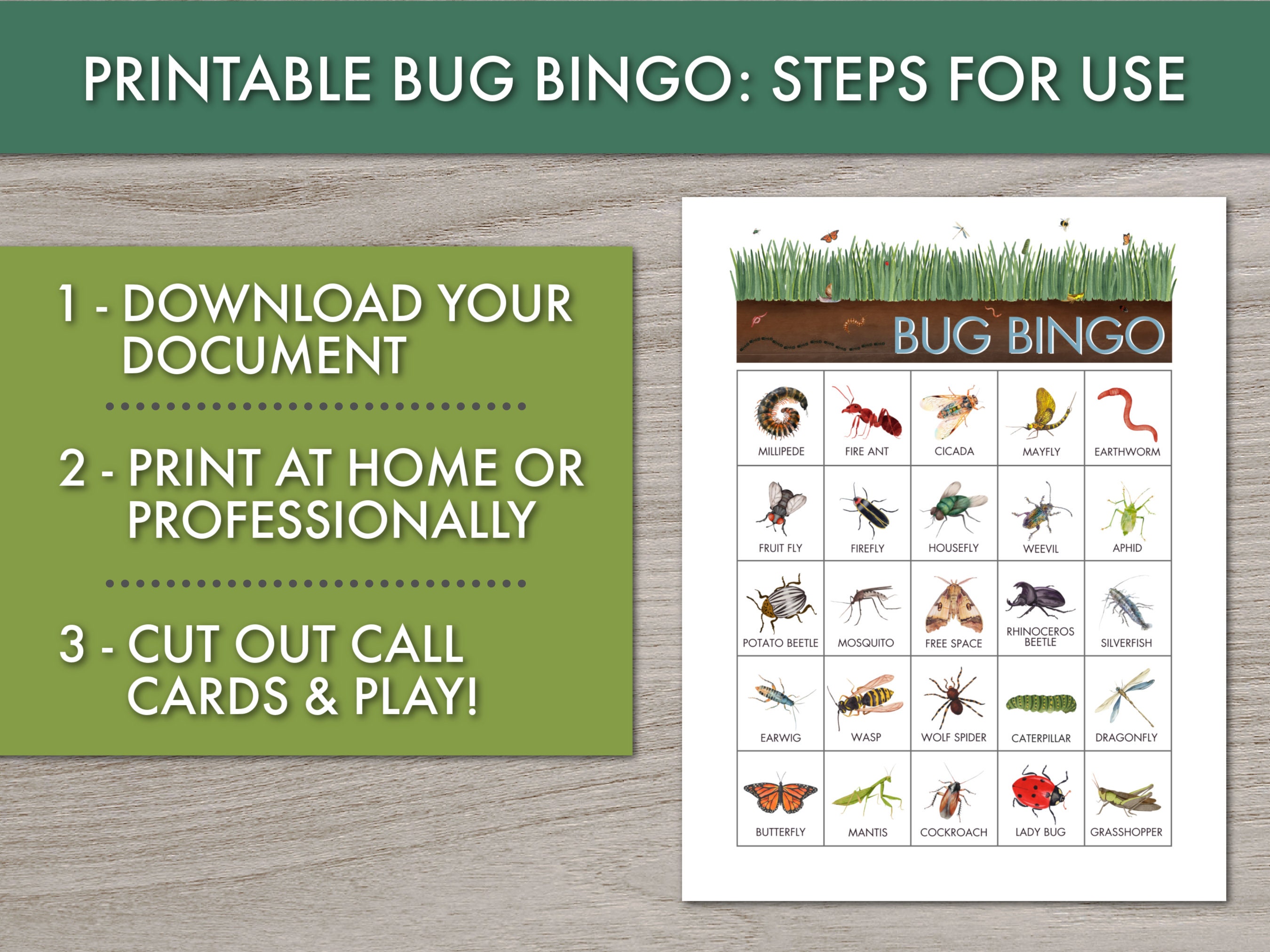 Printable Bug Bingo | Kids Insect-themed Party Game, Instant Download ...