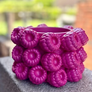Raspberry Flower Pot Pink | Plant Pot made of Raysin 200 | Handmade Vase | Aesthetic Decor | Modern Home Decor | Gift Idea