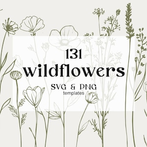 Bloem SVG-bundel, botanische SVG, bloem SVG, svg-bestanden, takken Svg, botanische Clipart, Wildflower Clipart, bloem clipart, lineart svg,