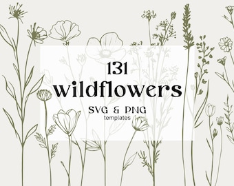 Blumen SVG Bundle, botanische SVG, Blumen SVG, svg-Dateien, Zweige svg, botanische Clipart, Wildblumen Clipart, Blumen Clipart, lineart svg,
