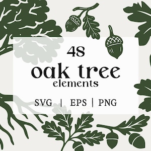 Pacchetto SVG di quercia / Clipart di ghiande, foglie e alberi, PNG e EPS di folklore