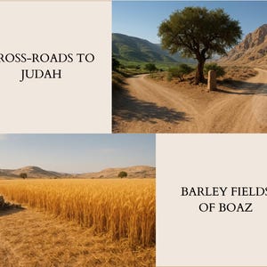 A preview page showcasing two high-detail 3D photorealistic backgrounds from the Book of Ruth collection. The top half features the "Cross-roads to Judah," showing a fork in a dusty path by an ancient tree and stone monument set against rocky mountains. The bottom half features the "Barley Fields of Boaz," displaying a vast, golden field of ripe barley ready for harvest, bordered by a low stone wall and woven baskets. Both backgrounds are rendered in a 16:9 cinematic aspect ratio.