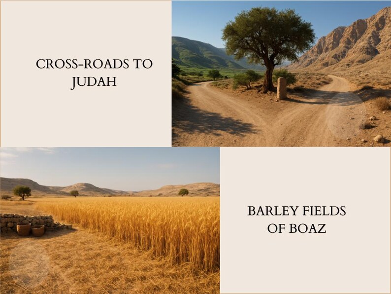 A preview page showcasing two high-detail 3D photorealistic backgrounds from the Book of Ruth collection. The top half features the "Cross-roads to Judah," showing a fork in a dusty path by an ancient tree and stone monument set against rocky mountains. The bottom half features the "Barley Fields of Boaz," displaying a vast, golden field of ripe barley ready for harvest, bordered by a low stone wall and woven baskets. Both backgrounds are rendered in a 16:9 cinematic aspect ratio.