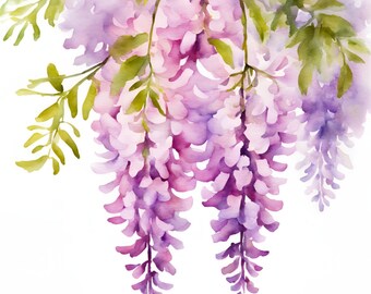 May include: Watercolor painting of a cluster of purple wisteria flowers hanging from a branch. The flowers are painted in a soft, delicate style, with shades of pink and purple.