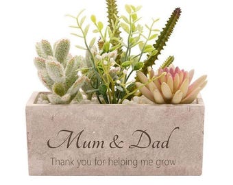 succulent plant pot