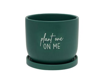 Indoor Plant Pot