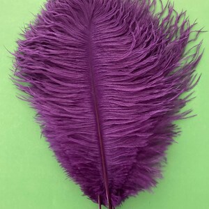 10 plumes d'autruche violet foncé 10-12 pouces (25-30cm)