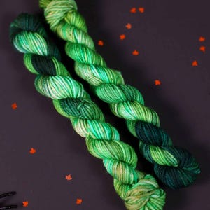 May include: Two skeins of yarn in shades of green and blue. The yarn is twisted together and has a mottled appearance.