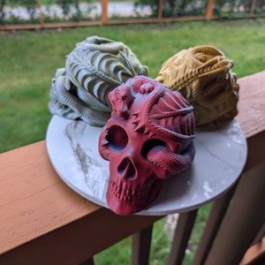 Skull with Dragon Decor/Gift 3D printed