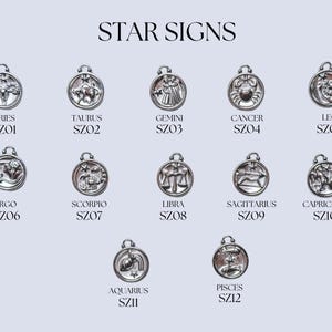 K&ouml;nnte beinhalten: Eine Sammlung von zw&ouml;lf runden, silberfarbenen Metall-Sternzeichen-Anh&auml;ngern mit der &Uuml;berschrift STAR SIGNS. Jeder Anh&auml;nger zeigt ein gepr&auml;gtes astrologisches Symbol mit Namen und Code, von Aries SZ01 bis Pisces SZ12, in Reihen angeordnet.