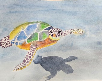 Original watercolor painting turtle