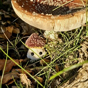 May include: A whimsical plush mushroom toy with a brown and cream-colored cap and a white body, nestled in grass under a large mushroom. The toy has black button eyes and a crocheted cap. The scene is set outdoors with fallen leaves.