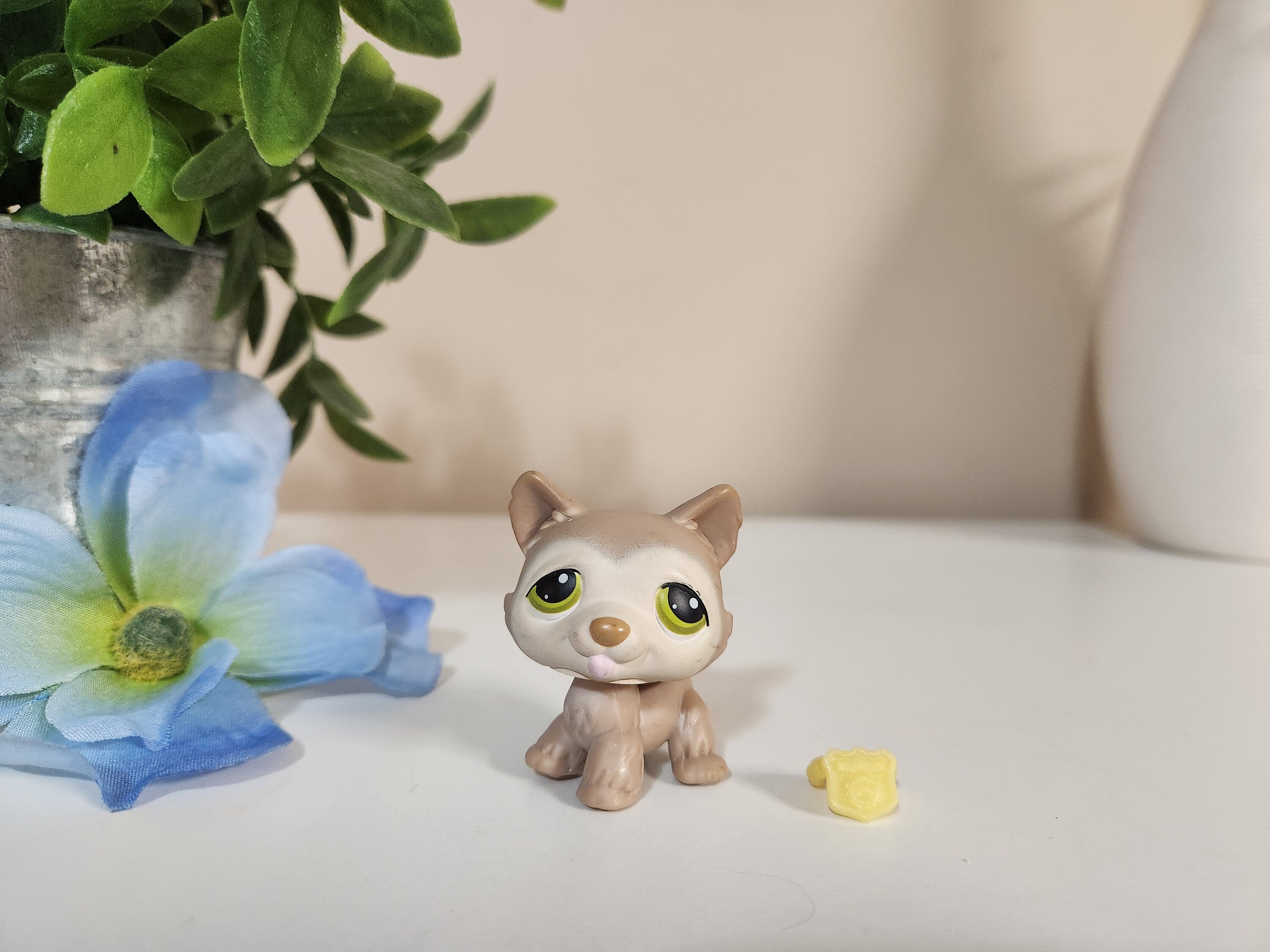 Authentic Littlest Pet Shop #785 Husky Dog / Original Hasbro