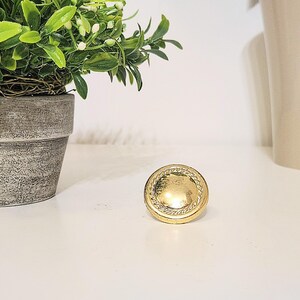 May include: A round cabinet knob in gold with a decorative edge.
