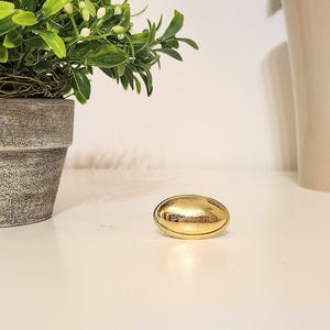 Vintage Polished Oval Brass Knob 1.5" - DIY Kitchen Cabinet Drawer/Cupboard Handles - Home Renovation - Hickory Hardware -Solid Brass Decor