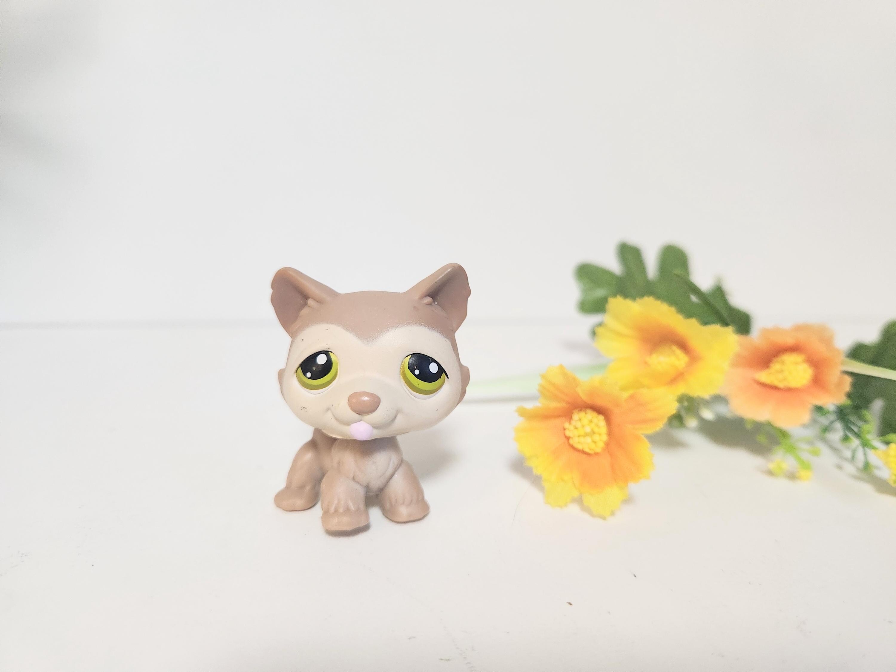 Littlest Pet Shop #358 HUSKY Dog Tan/beige - Authentic  LPS Husky Puppy #358 Toy main image 0