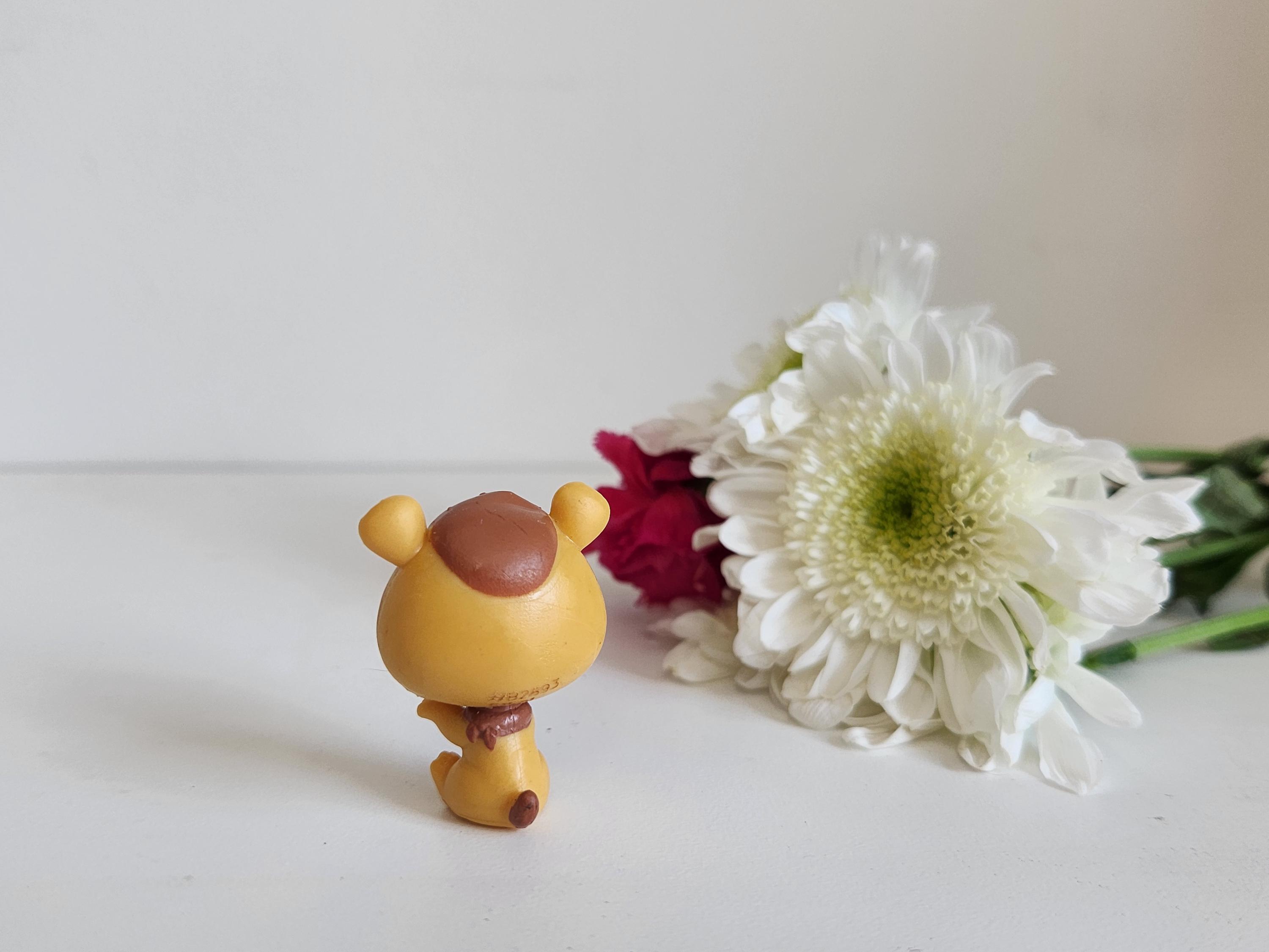 Littlest Pet Shop Baby Bear Cozy Snackers Mini Brown Bear Cub-tiny LPS ...