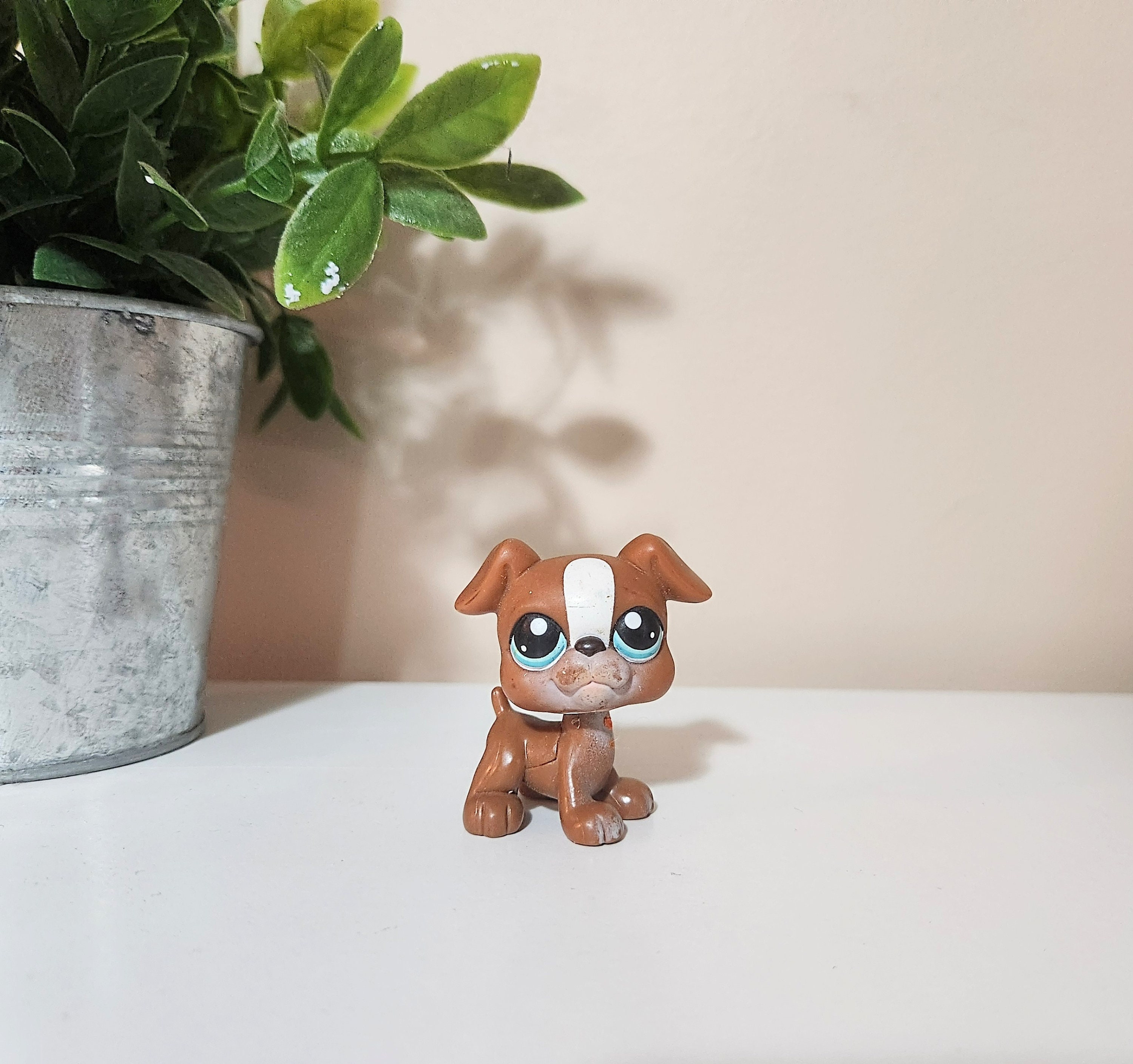 NEUF NIB LITTLEST Pet Shop LPS Jumbo Chien Petshop Boxer