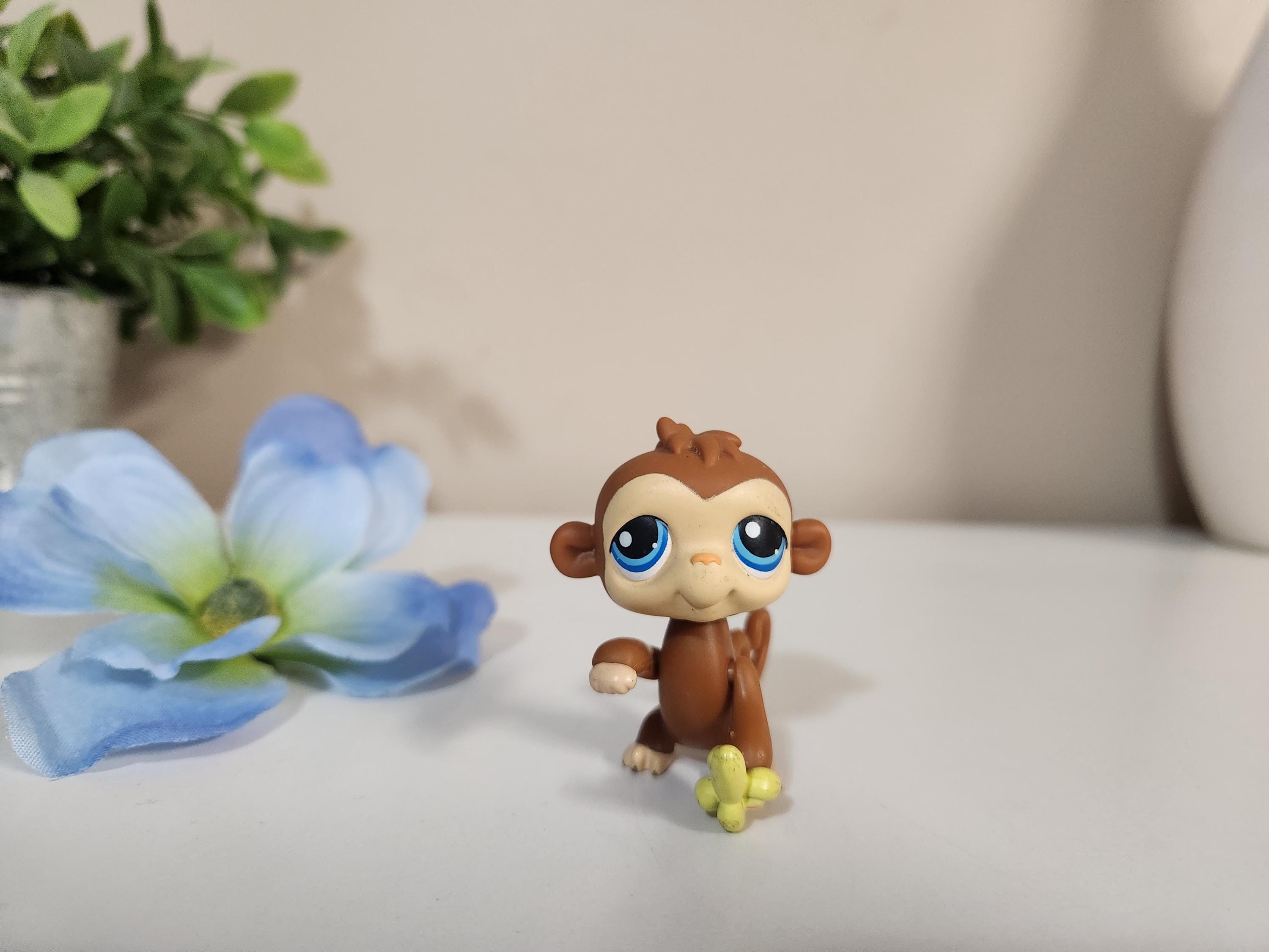 Monkey Eating Banana Canada