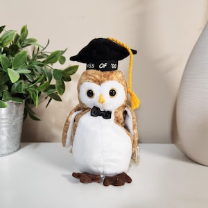 Ty Beanie Baby “Wisest” the Graduation Owl (6 inch) Vintage 2000s Beanie Babies