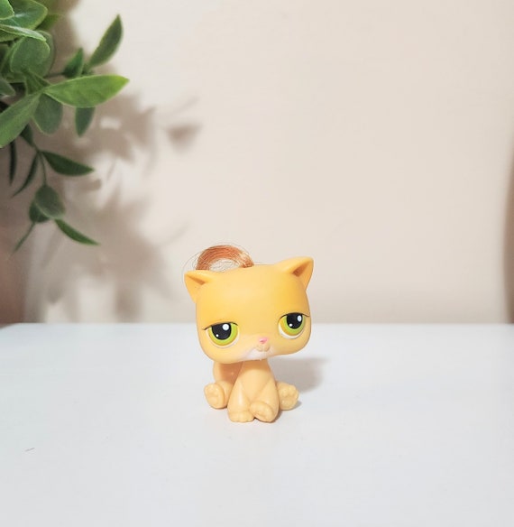kittenです Kitten Shorthair #78 (cat, Sitting, Real Hair, Yellow, Green