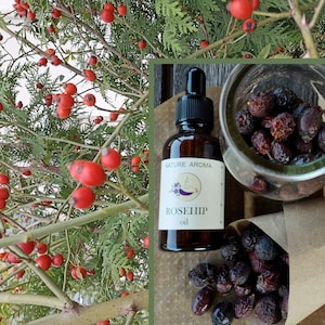 Puede incluir: Una botella de vidrio de aceite de rosa mosqueta con una etiqueta marrón que dice "NATURE AROMA ROSEHIP oil". La botella está sobre una superficie de madera junto a un cuenco de escaramujos secos y un cono de papel lleno de escaramujos secos.